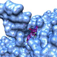 Primo investimento del fondo Indaco Bio nel round da 23 milioni di euro in Sibylla Biotech